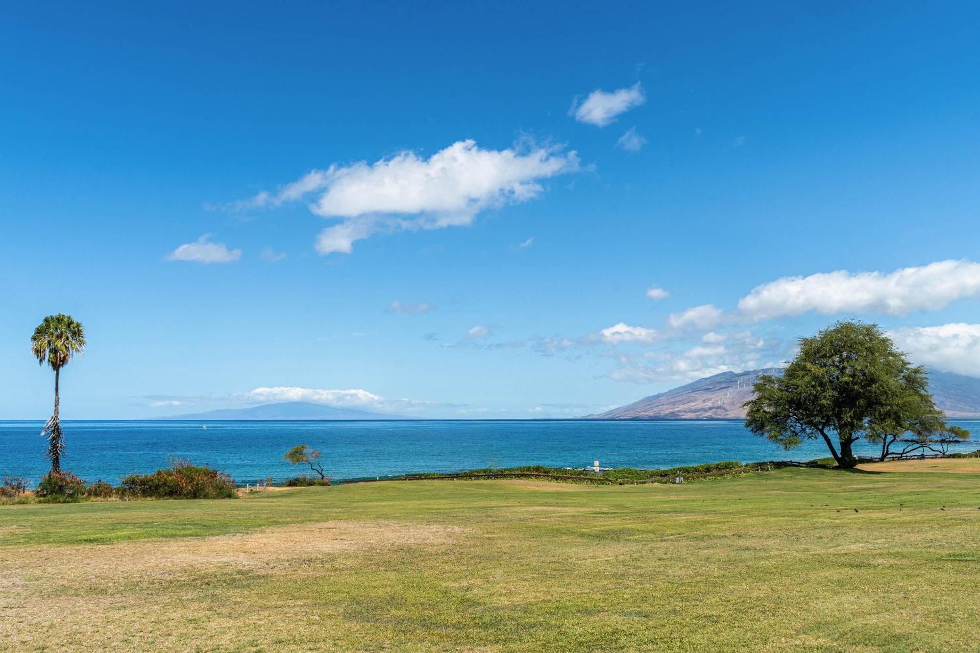 Maui Kamaole H-101 Leilighet Wailea  Eksteriør bilde